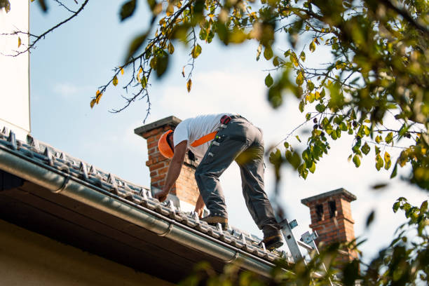 Best Roof Maintenance Services  in Clermont, GA