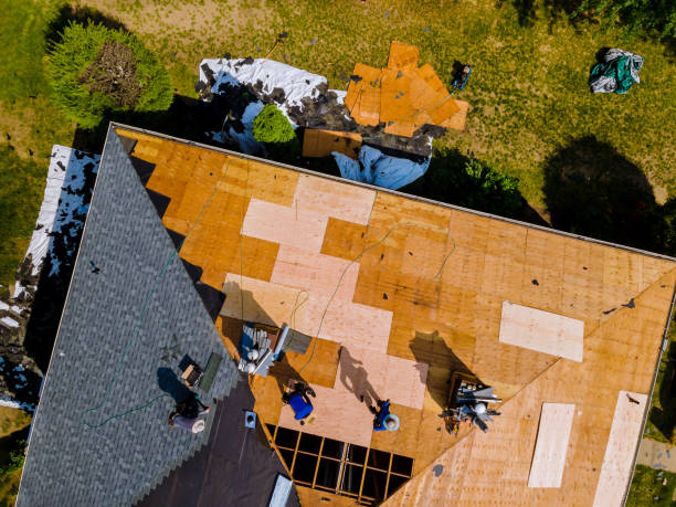 Best Gutter Installation and Roofing  in Clermont, GA